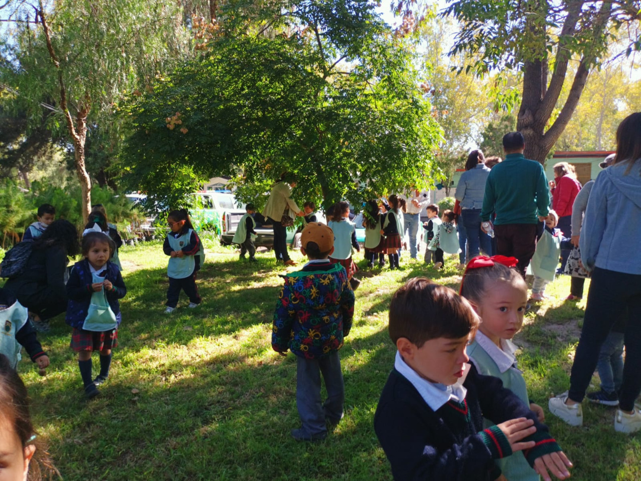 IMG-20221014-WA0045