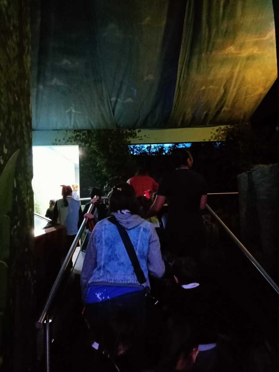IMG-20221014-WA0063