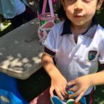 Multimedia (5)