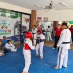 Multimedia (16)